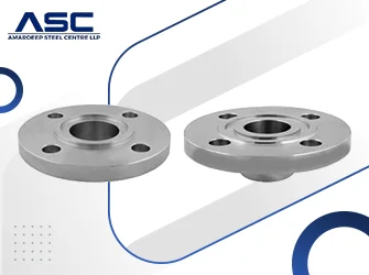 SS 317 Tongue & Groove Flanges